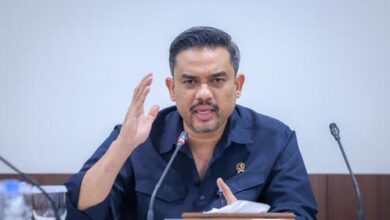 005421200 1730886714 WhatsApp Image 2024 11 06 at 14.43.59