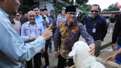 11d913817657d9987736dc8abf8c3a5c