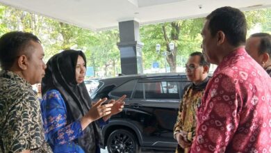 WhatsApp Image 2025 11 16 at 15.23.47