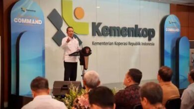 WhatsApp Image 2026 02 02 at 15.42.58