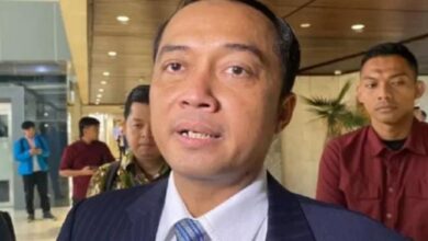 WhatsApp Image 2026 02 03 at 11.29.14