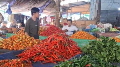 WhatsApp Image 2026 02 03 at 13.33.05