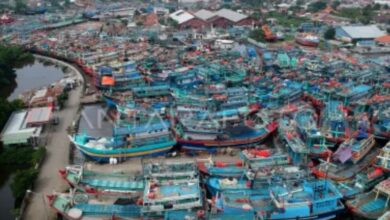 WhatsApp Image 2026 02 08 at 22.48.51