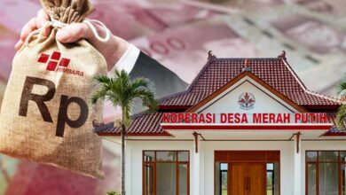 WhatsApp Image 2026 02 09 at 01.05.13