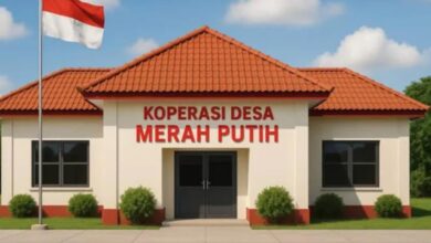 WhatsApp Image 2026 02 09 at 15.30.24