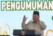 WhatsApp Image 2026 02 09 at 15.57.29