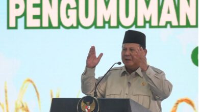 WhatsApp Image 2026 02 09 at 15.57.29