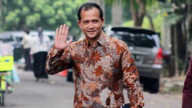 WhatsApp Image 2026 02 09 at 18.40.02