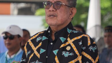 WhatsApp Image 2026 02 17 at 19.19.08