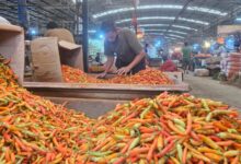 WhatsApp Image 2026 02 20 at 10 07