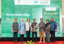 Medium DSC 01144 1 4bf6881ce4