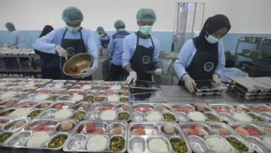 01jh4vsvn4wb0t7e3q03dyt6xd