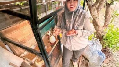 0 IMG 20260410 WA0236