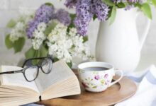 57c97fe4 15aa 454c 955e 0233b81000b9