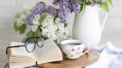 57c97fe4 15aa 454c 955e 0233b81000b9