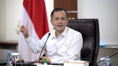 IMG 20250626 WA0016 1024x683