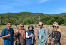 WhatsApp Image 2026 04 10 at 19.52.12