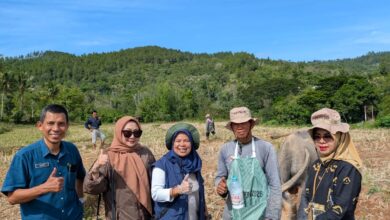 WhatsApp Image 2026 04 10 at 19.52.12