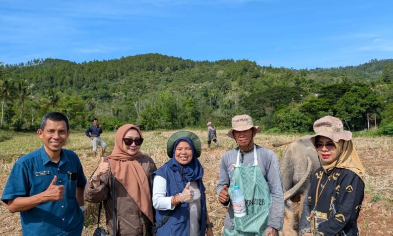 WhatsApp Image 2026 04 10 at 19.52.12