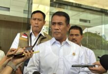 Andi amran sulaiman ekspor 696x391