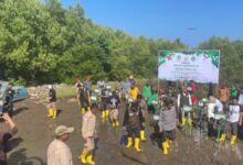 F4697311 1e8a 4d84 9ee0 454d6269c48f