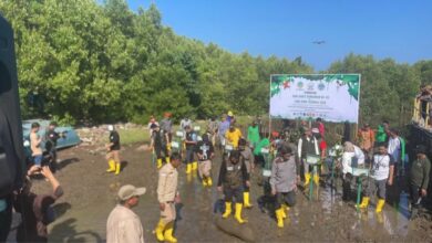 F4697311 1e8a 4d84 9ee0 454d6269c48f