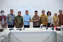 Kemenkop 1776862617001