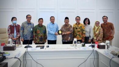 Kemenkop 1776862617001