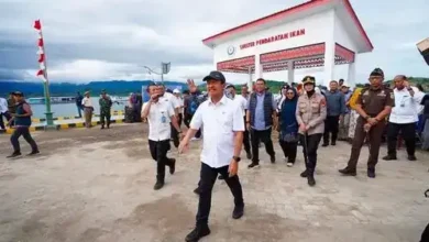 Small IMG 2814 751226a8a9 cd667057a1