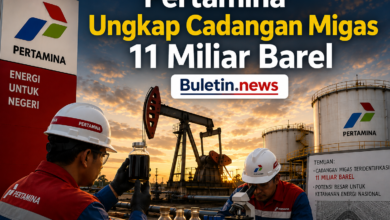 Dokument Buletin.news