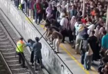 Viral penumpang wanita terjatuh di stasiun manggarai jakarta selatan 1778831153025