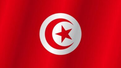 Flag of the country tunisia on a white background vector