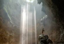 Images (10)
