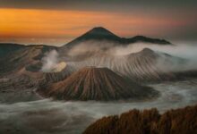 Images (13)