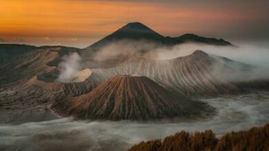 Images (13)