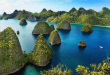 Images (15)