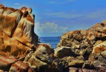 Images (17)