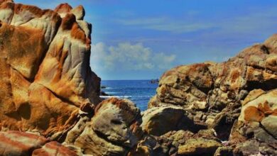 Images (17)