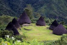 Images (6)