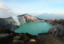 Images (7)