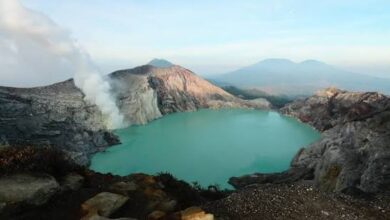 Images (7)